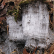 Vein of Ice