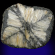 Chiastolite with Complex Pattern