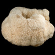 White Curved Barite Formation