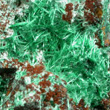 Acicular Brochantite Needles