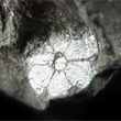 Cordierite var. Cerasite