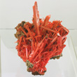 Outstanding Crocoite Cluster