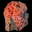 Reticulated Crocoite