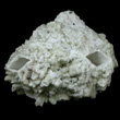 Datolite Epimorphs after Glauberite