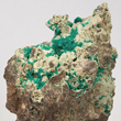 Dioptase Sprays on Matrix