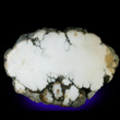 Sliced Howlite Nodule