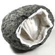 Natrolite Spray in Geode