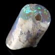 Opalized Fossil Bone