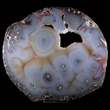 Orbicular Agate