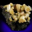 Pyromorphite Crystal Group