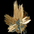 Acicular Golden Rutile Spray