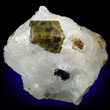 Siderite with Cryolite