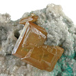 Brown Wulfenite on Matrix