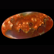 Iridescent Fire Agate