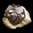 Almandine Garnet in Quartz Matrix