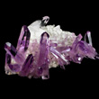 Tall Amethyst Crystals