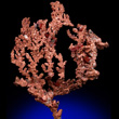 Crystallized Copper Dendrite