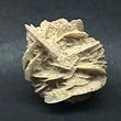 Gypsum Desert Rose