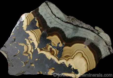 Polished Schalenblende