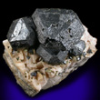 Large Black Sphalerite on Dolomite